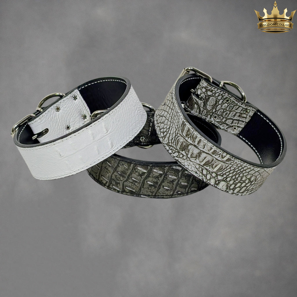 Three dog collars with different textures on a gray background