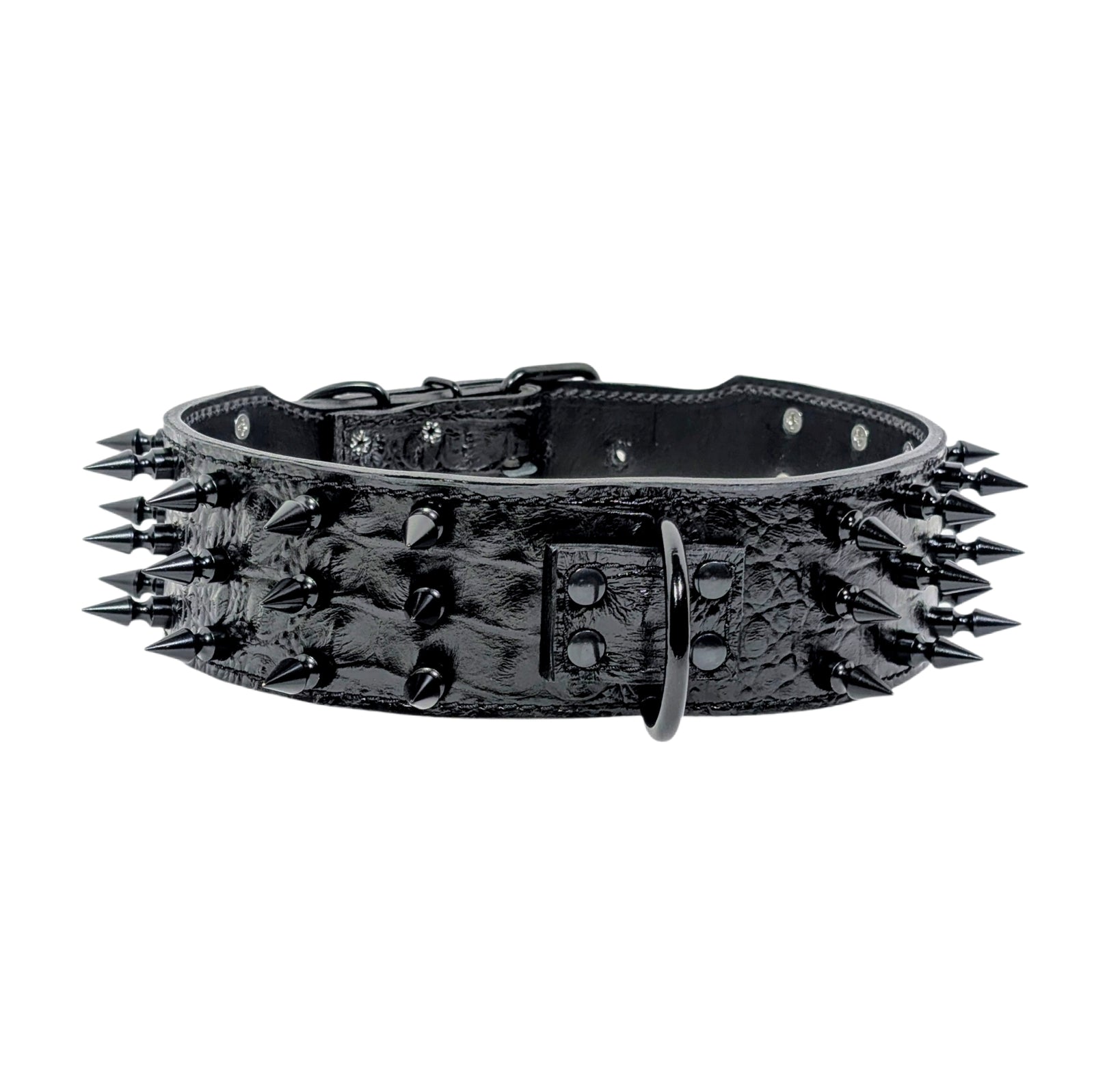 Black leather dog collar with spikes on a white background