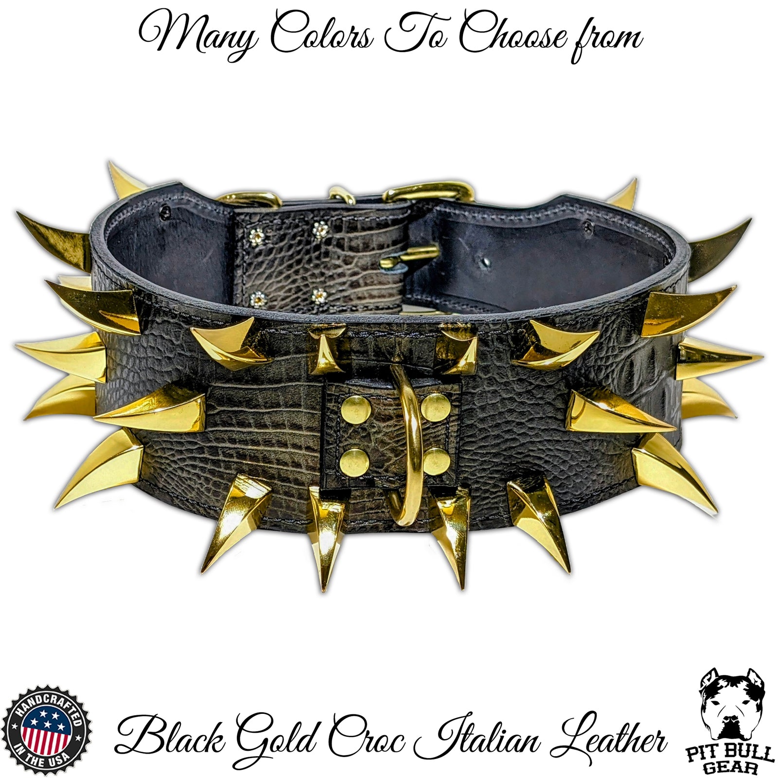 X24 - Coleira para cachorro com garra de dragão de 3" de largura