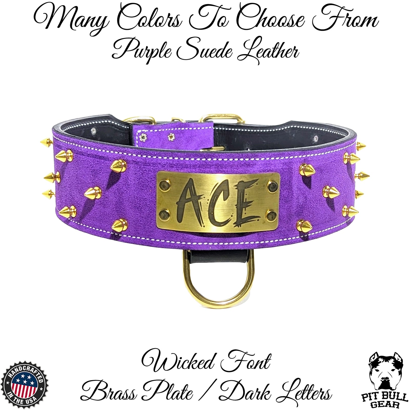 NJ1 - 2.5" Wide Leather Dog Collar with Spikes and Name Plate