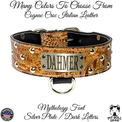 Leather Dog Collar Personalized Nameplate Studded 2.5" Wide - NJ3