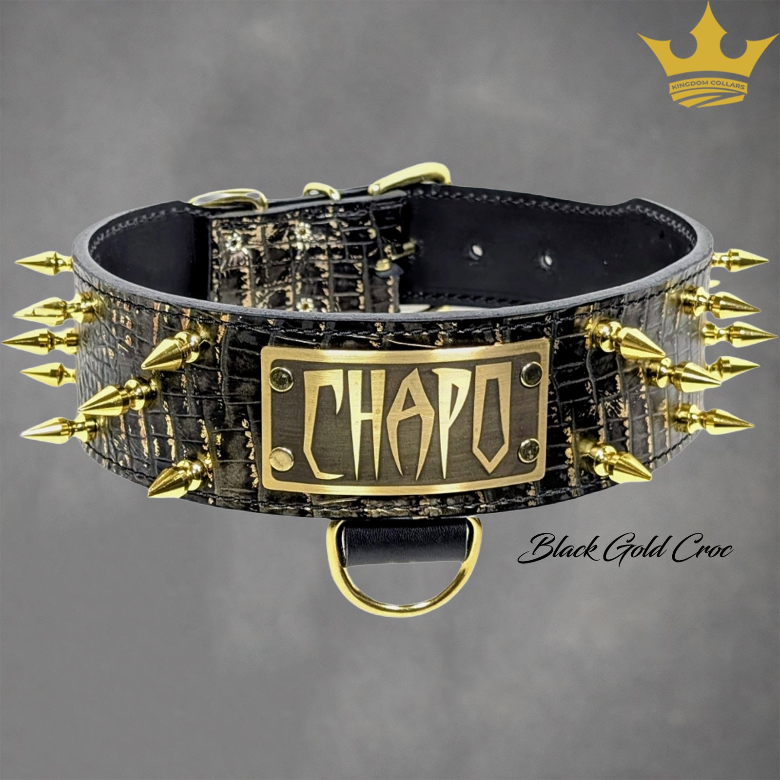 Black and gold spiked dog collar with 'Chapo' branding on a gray background
