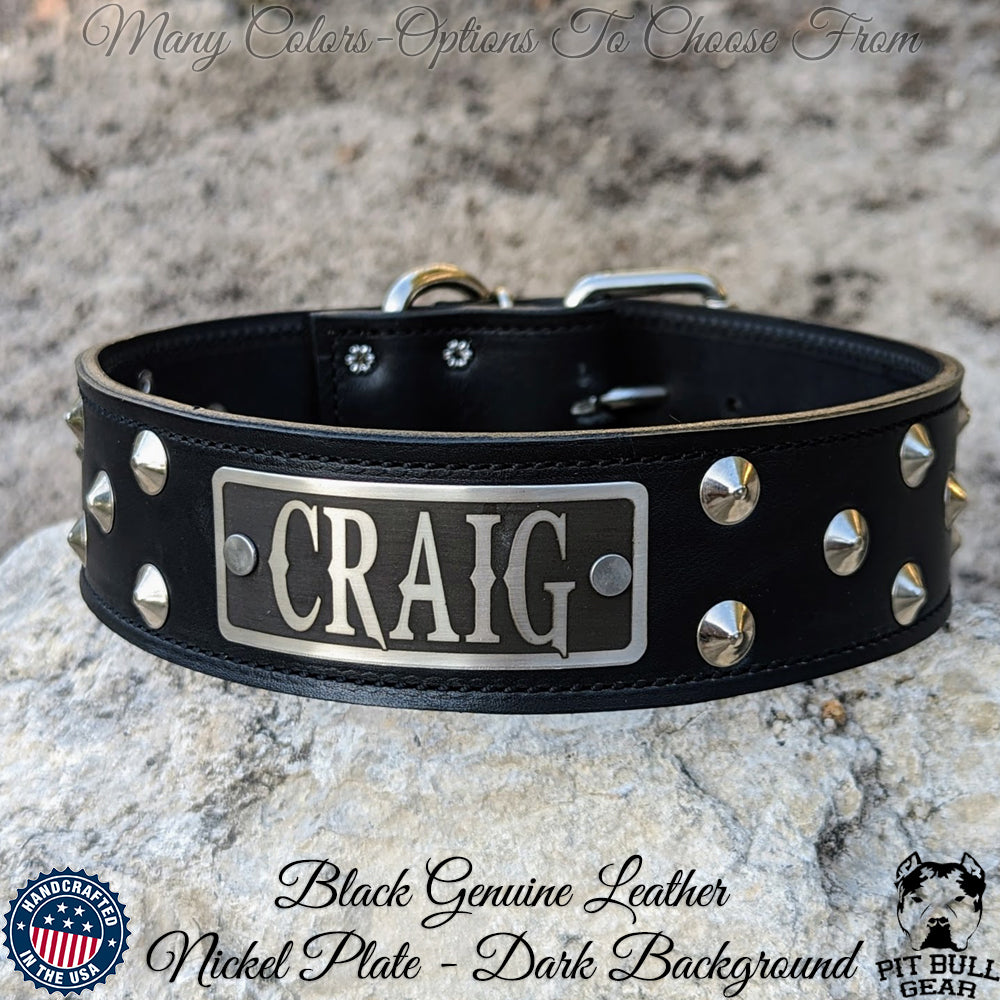 WN1 - Coleira de couro cravejada com placa de nome personalizada de 2"