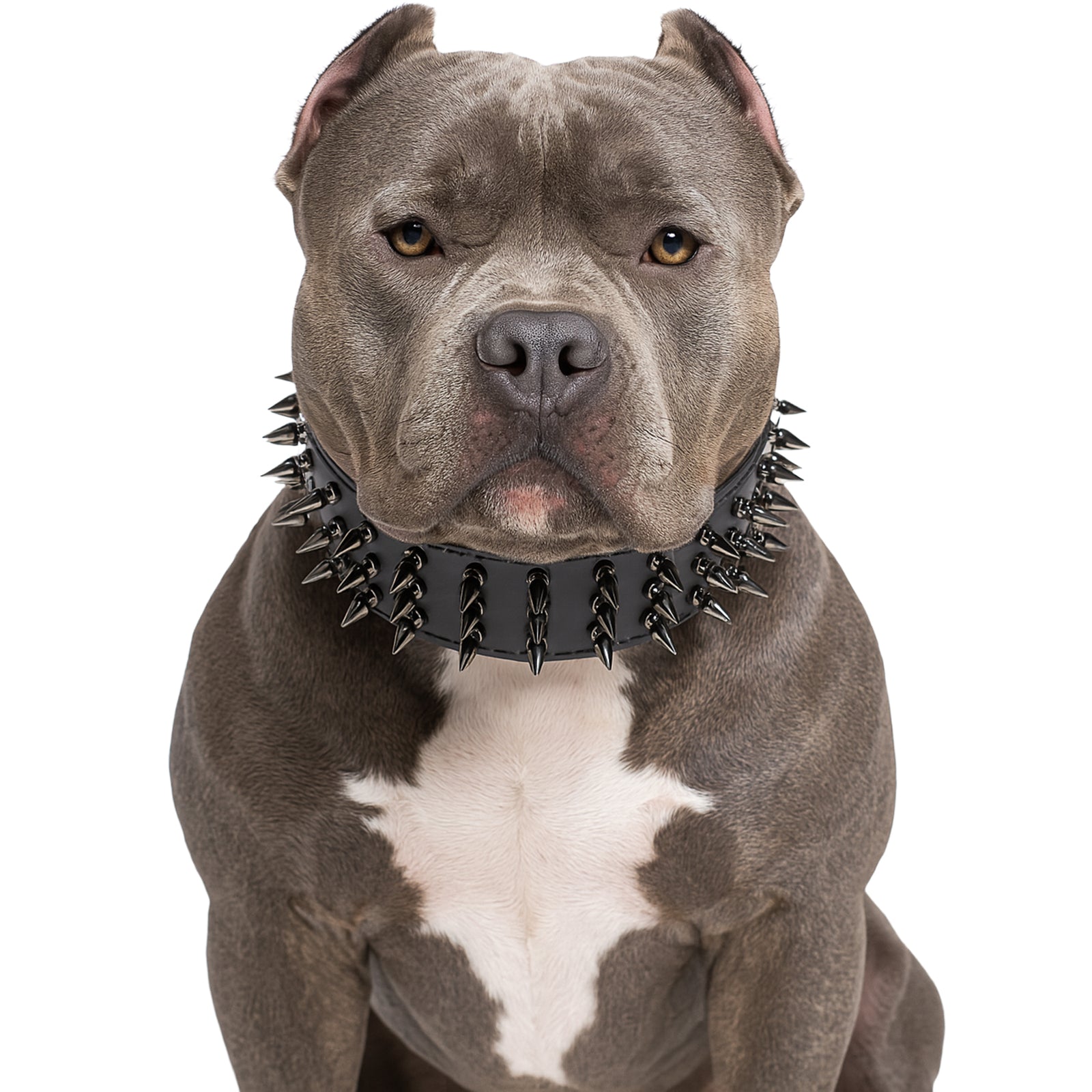 Custom made 3-inch wide leather dog collar with three rows of 1-inch tree spikes, shown laid flat to highlight the bold, heavy-duty design.