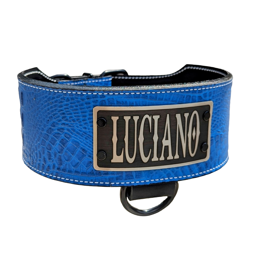 NX5 - Coleira de cachorro de couro personalizada de 3"