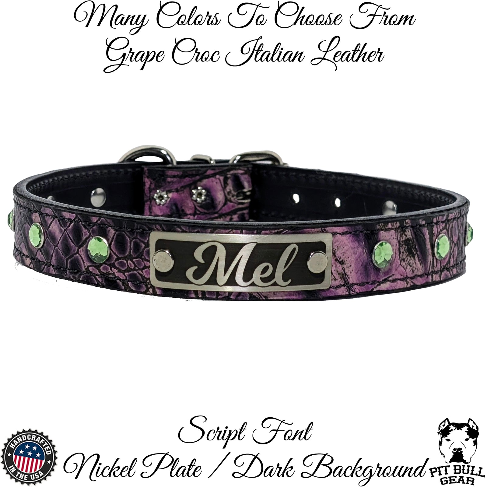 U13 - Collar de cuero para perro de 1" de ancho, placa con nombre y gemas