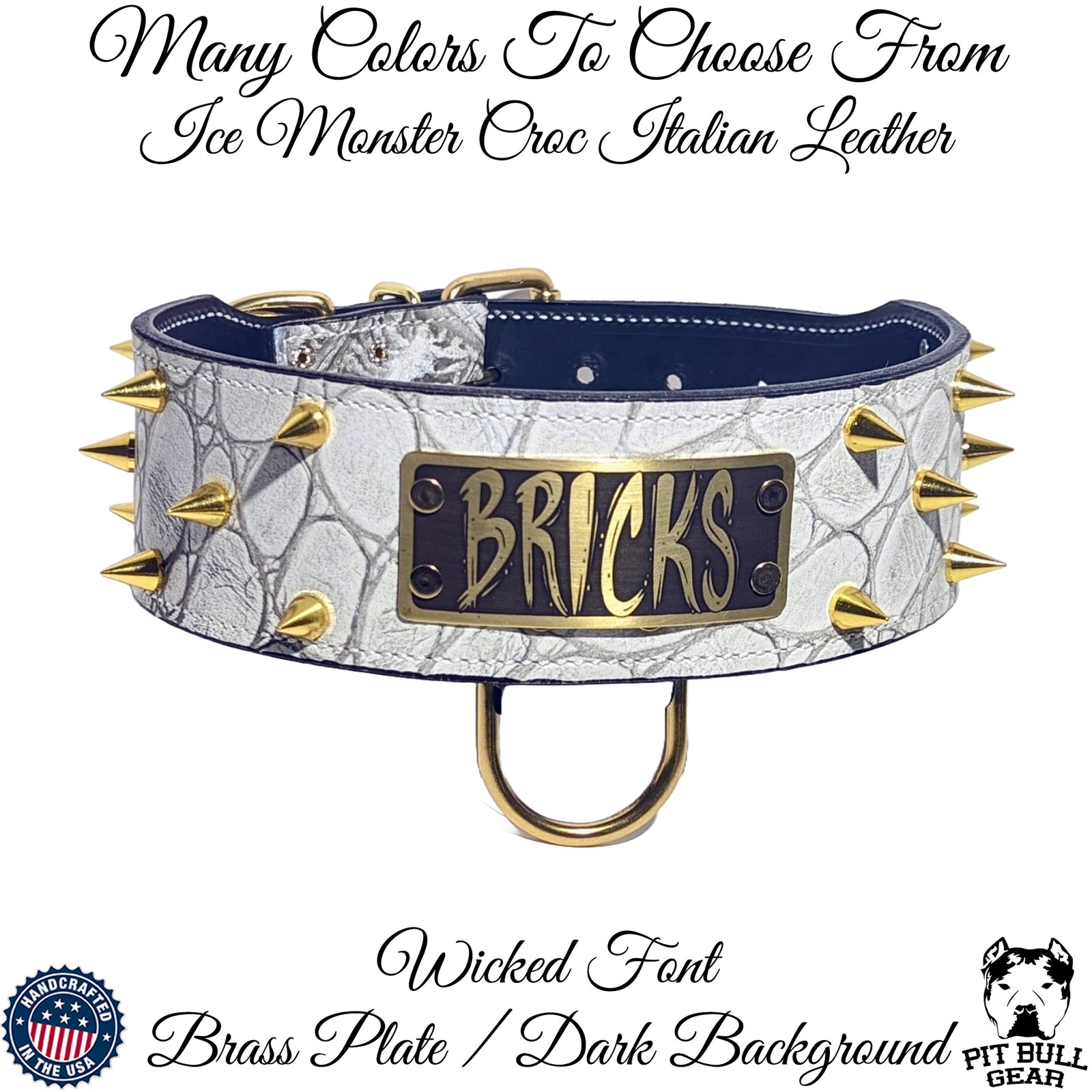 JN1 - 2 1/2" placa de identificação colar de couro pontiagudo