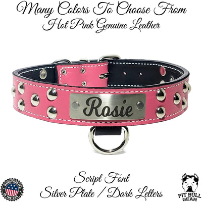 Leather Dog Collar, Personalized Name Dome Studded 1.5" Wide - N13