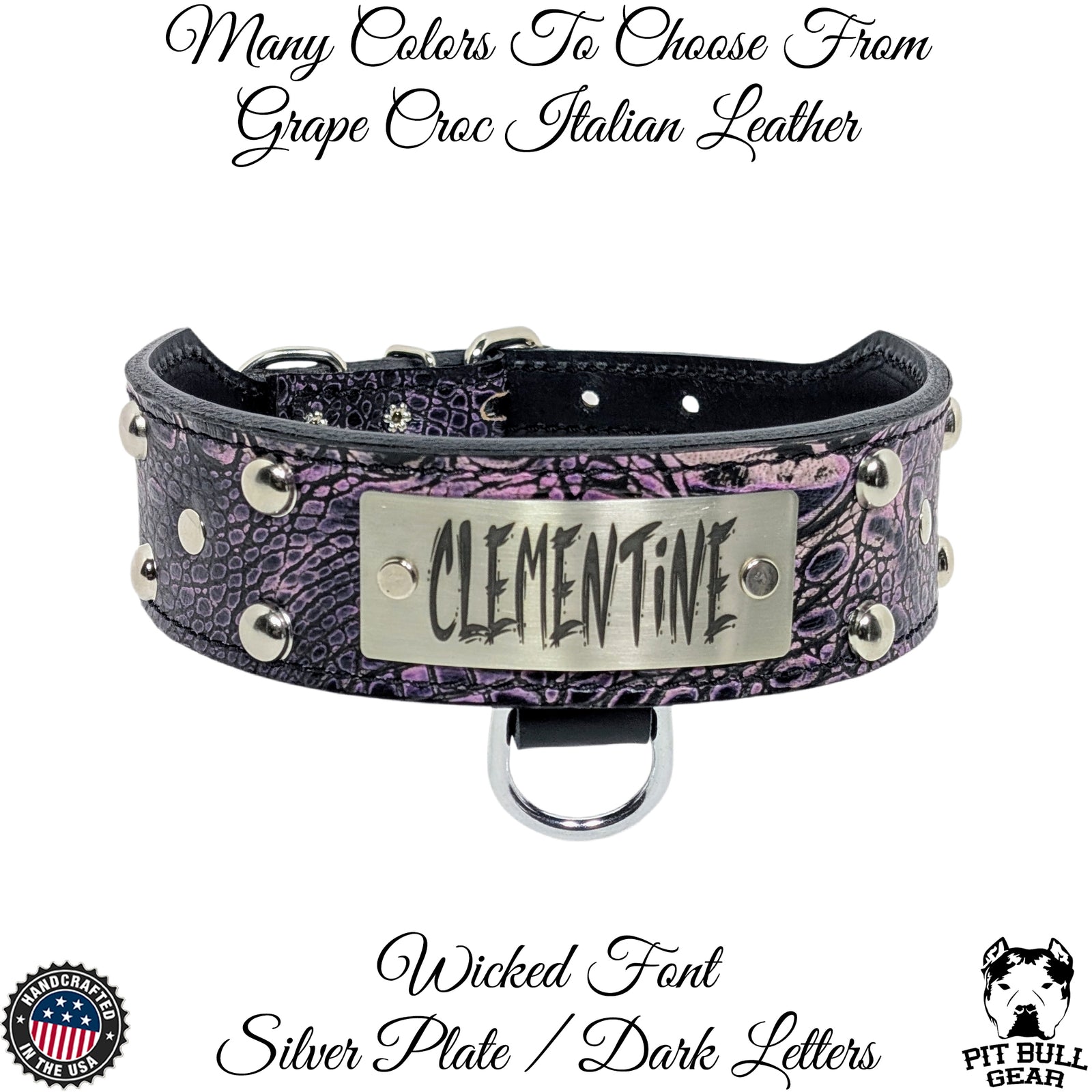 TW12 - Collar para perro de cuero con tachuelas y placa con nombre, de 2" de ancho