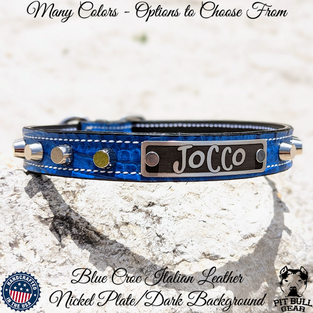U1 - Collar de cuero para perros de 1" de ancho con tachuelas y placa con nombre