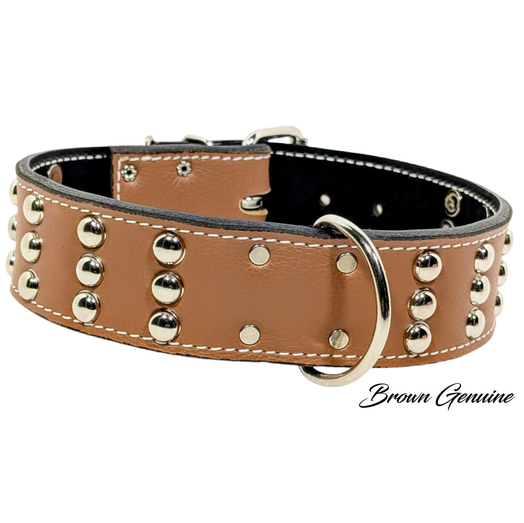W55 - Collar para perros de cuero tachonado de 2" de ancho