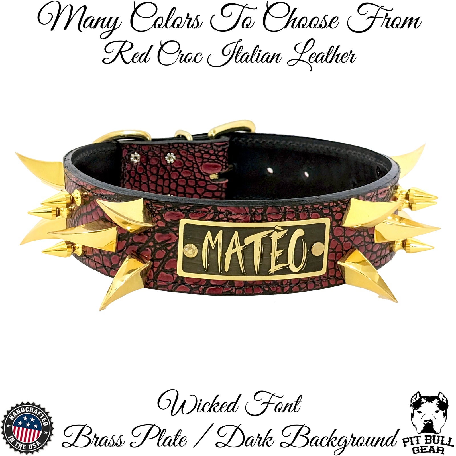 WN14 - Coleira de cachorro de couro pontiagudo com placa de nome de 2"