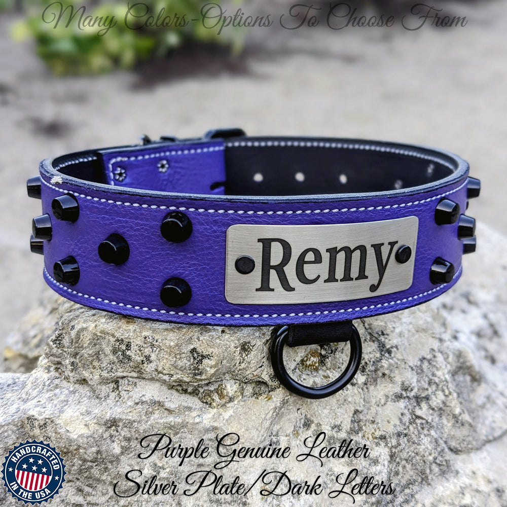 WN4 - Collar de cuero para perros de 2" de ancho con tachuelas y placa con nombre