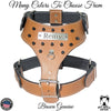 Leather Dog Harness Personalized Name Plate with Bucket Studs - NH11