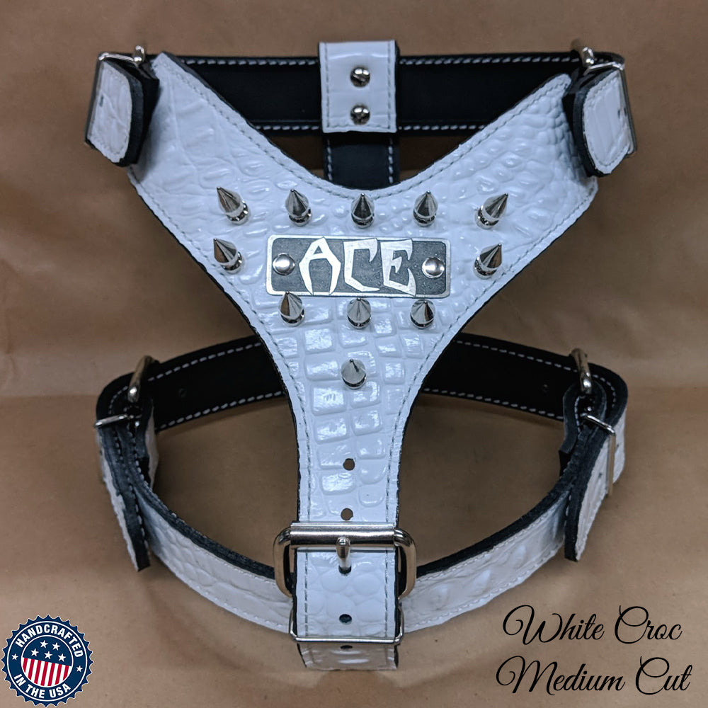 NH5 - Personalized Spiked Leather Dog Harness