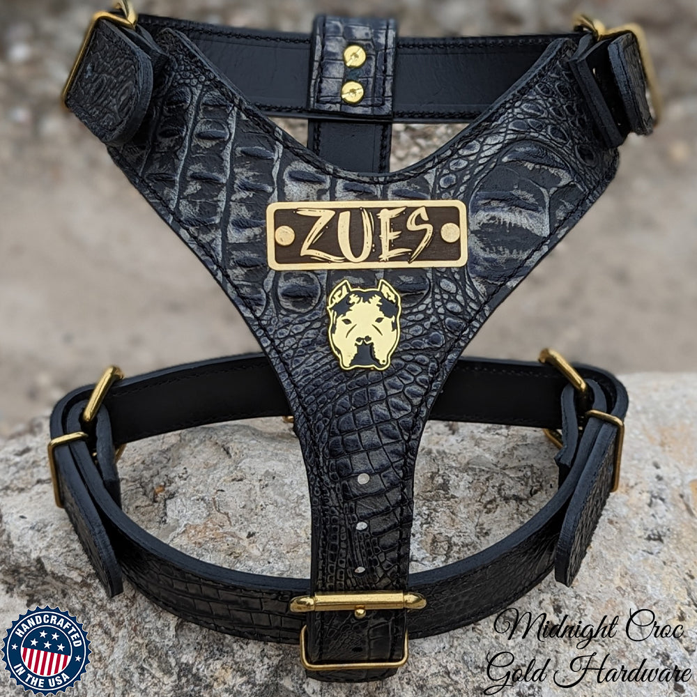 NH12 - Personalized Bully Leather Harness