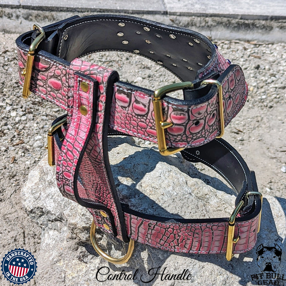 NH9 - Personalized Leather Dog Harness w/Gems & Bucket Studs