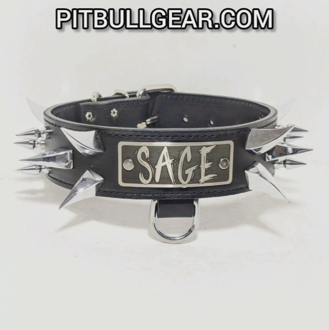 WN14 - Coleira de cachorro de couro pontiagudo com placa de nome de 2"