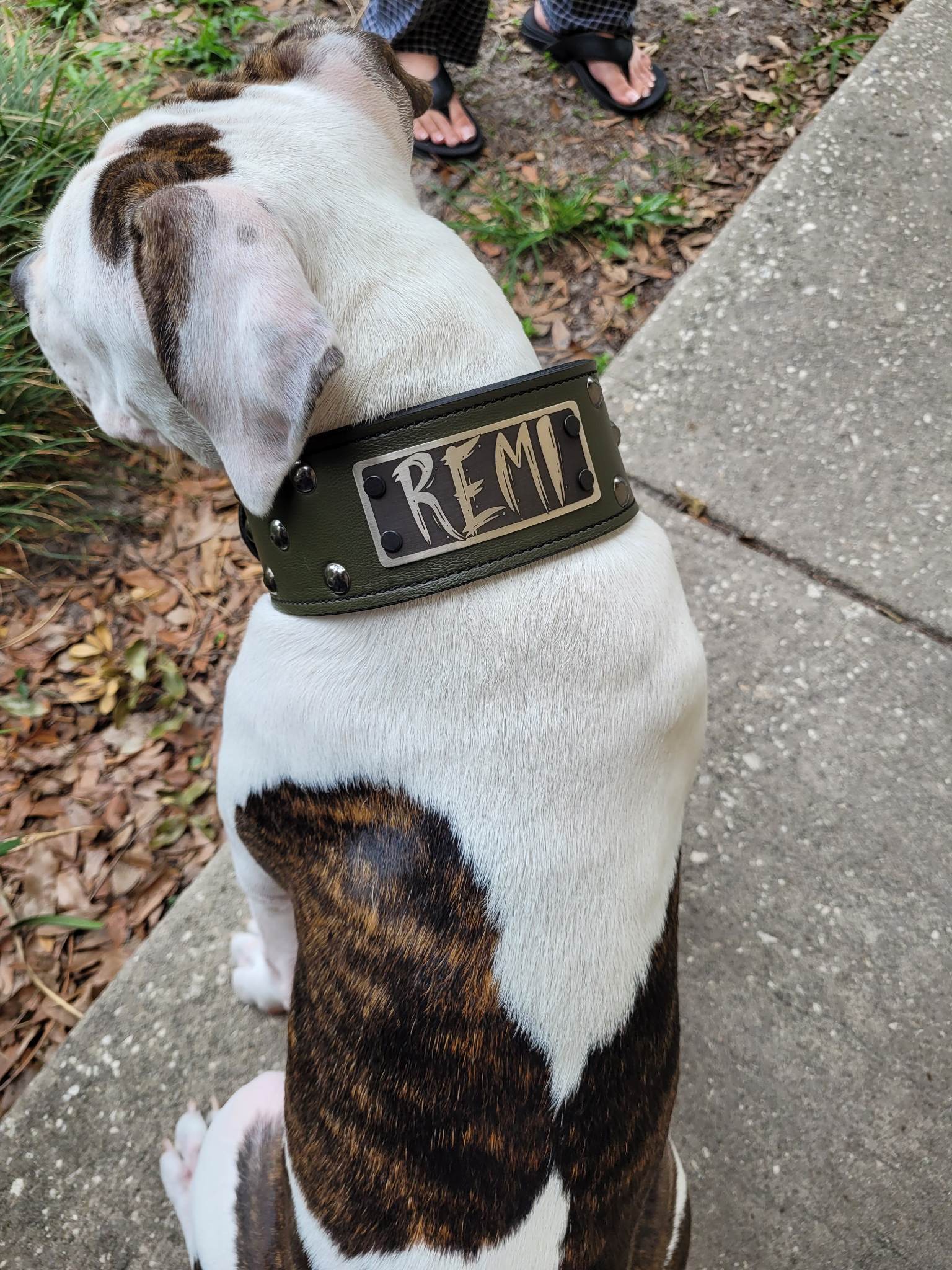 NJ3 - 2.5" Wide Leather Dog Collar with Name Plate