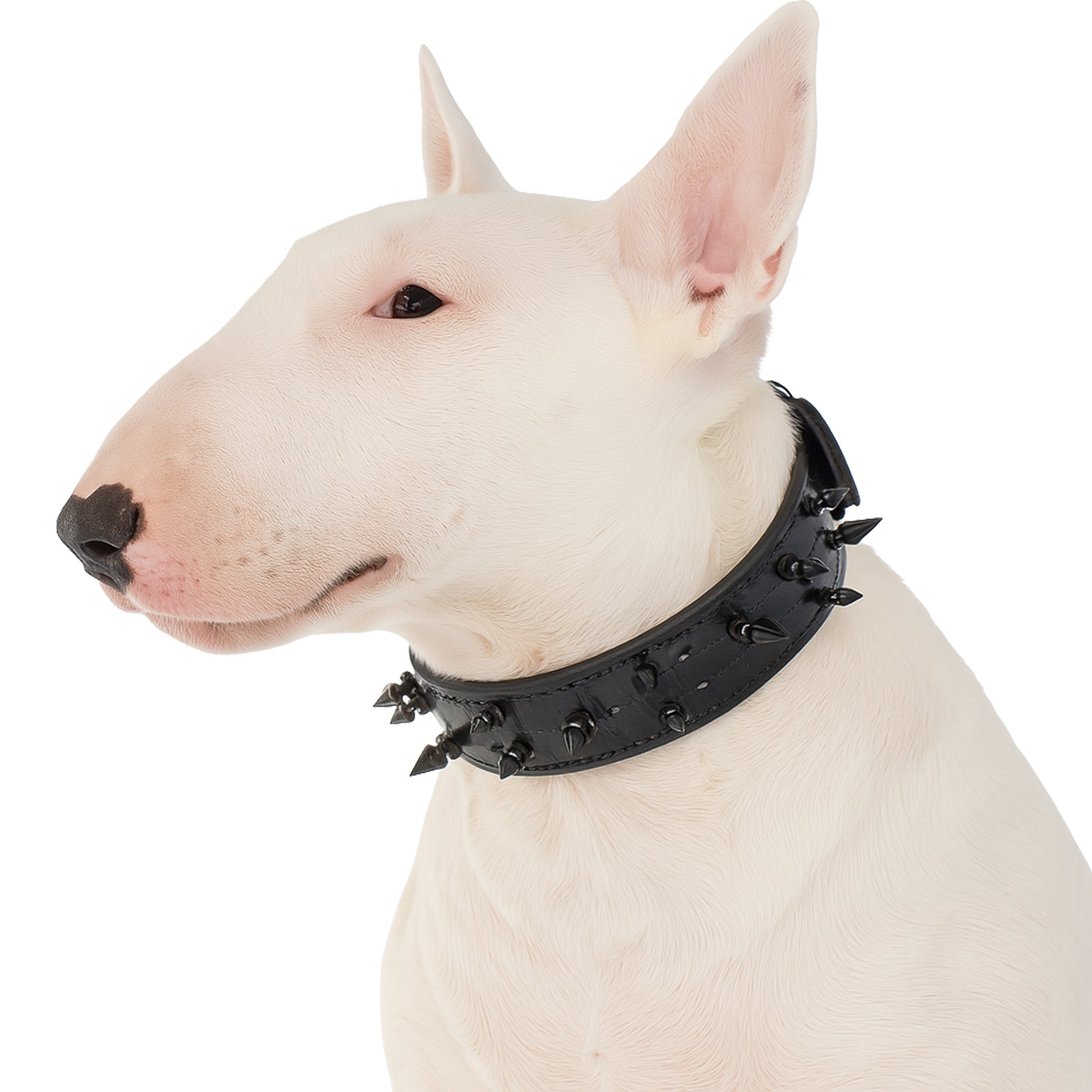 Collar de cuero con pinchos para perros, collar de protección para perros, 1,5" de ancho - V17