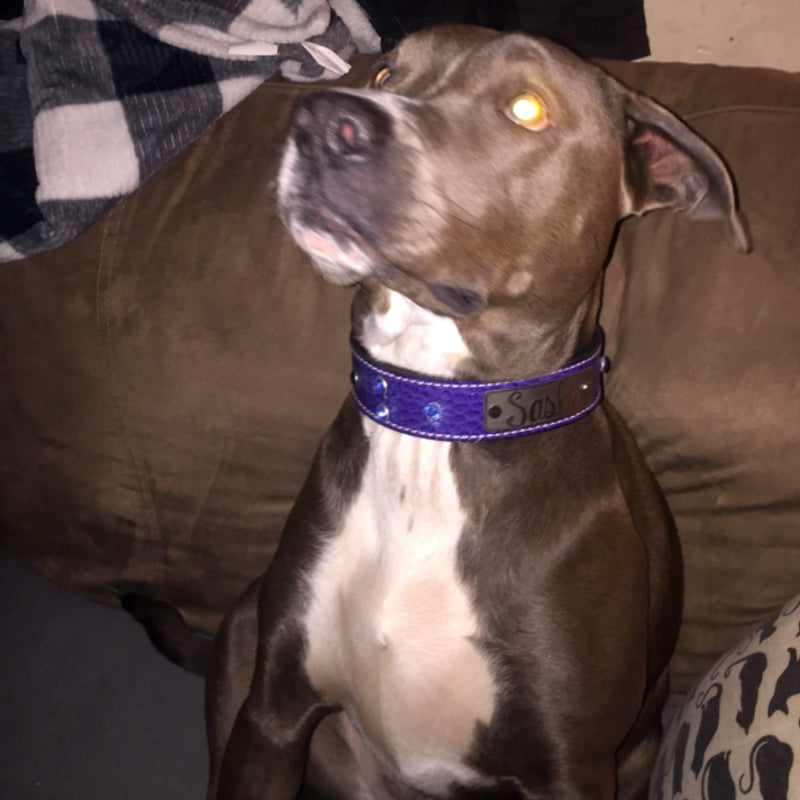 N11 - Collar de cuero para perros de 1,5" de ancho con placa de identificación y gemas