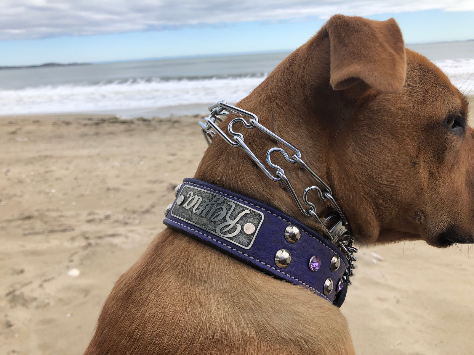 V20 - Collar de cuero personalizado para perros de 1,5" de ancho con tachuelas y gemas