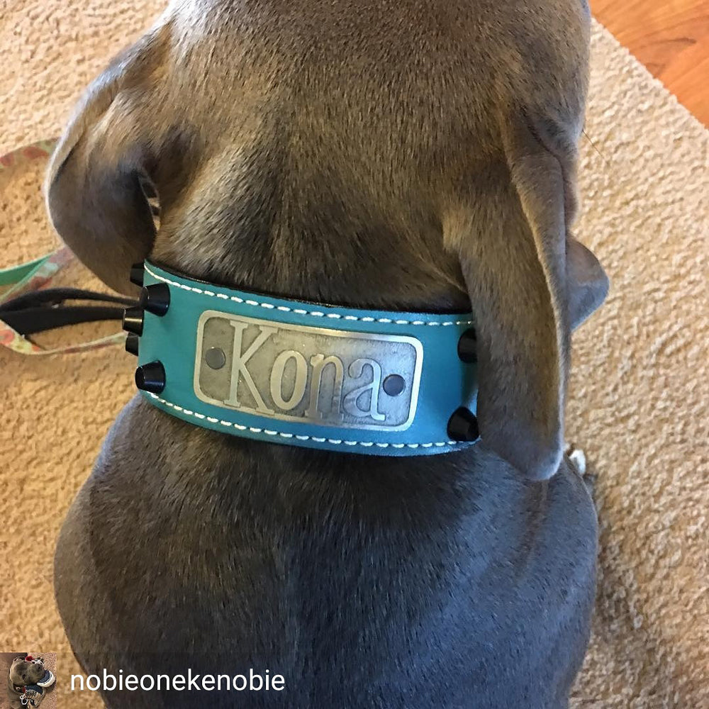 WN4 - Collar de cuero para perros de 2" de ancho con tachuelas y placa con nombre