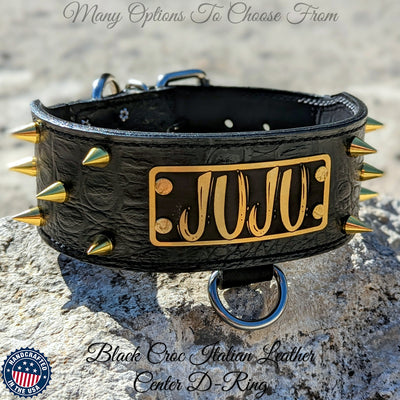 Spiked Leather Dog Collar Personalized Nameplate - 2.5" Wide - JN1