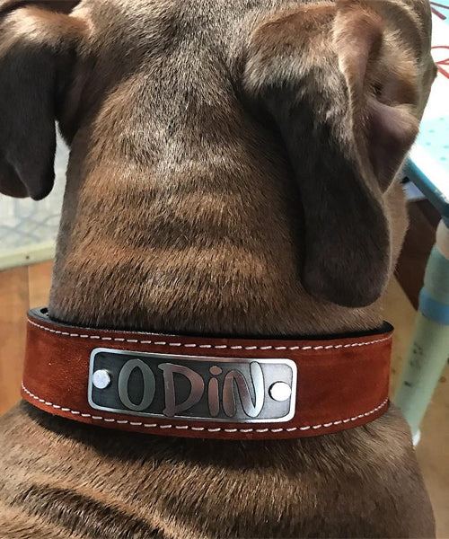 N7 - Collar de cuero para perro de 1,5" de ancho con placa de identificación personalizada