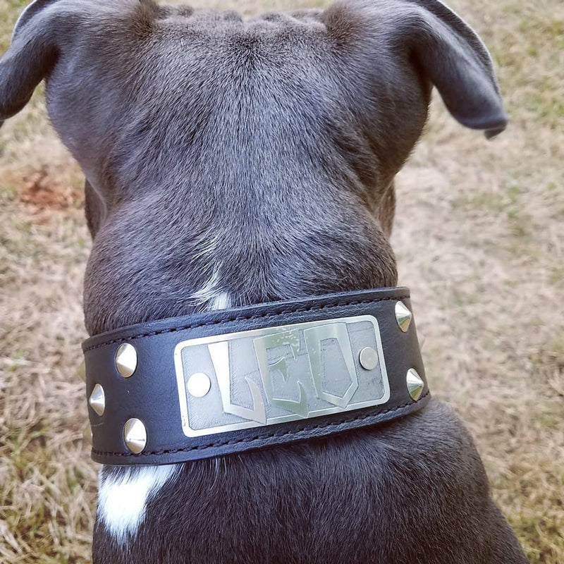 VN1 - Collar de cuero para perros de 1,5" de ancho con placa de identificación y tachuelas cónicas