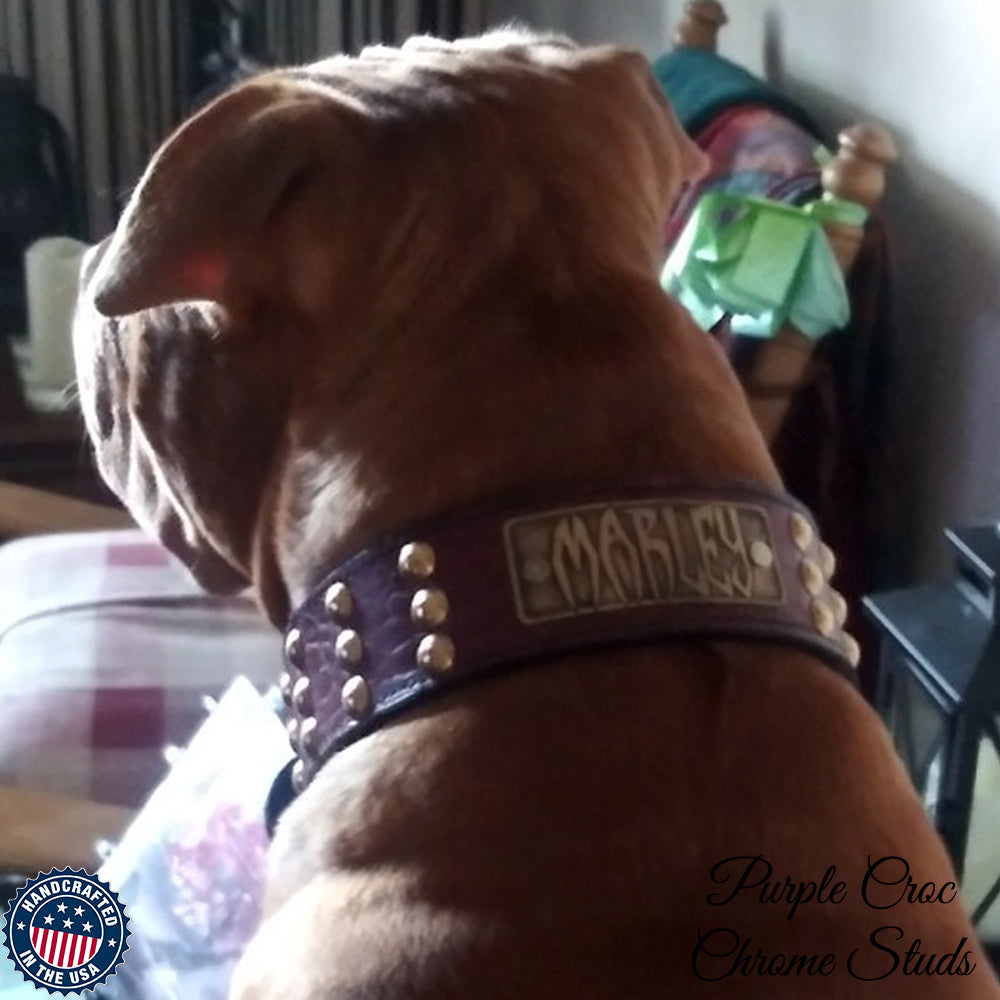Leather Dog Collar, Nameplate Studded Leather Dog Collar 2" Wide - W34