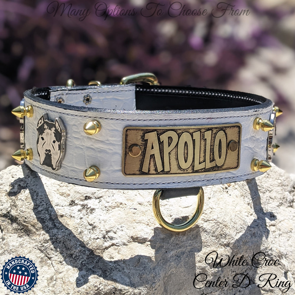 W45 - 2" Personalized Bully Spiked Leather Dog Collar