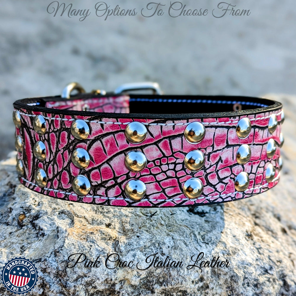 W55 - Collar para perros de cuero tachonado de 2" de ancho