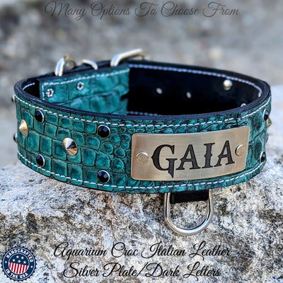 WN3 - 2" Leather Dog Collar with Name Plate, Studs & Gems