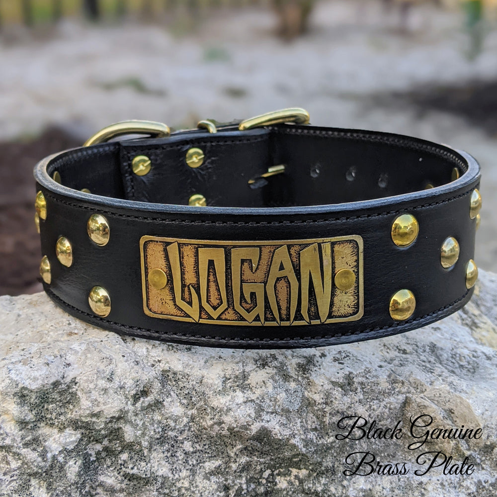 WN5 - 2" Name Plate Studded Leather Dog Collar