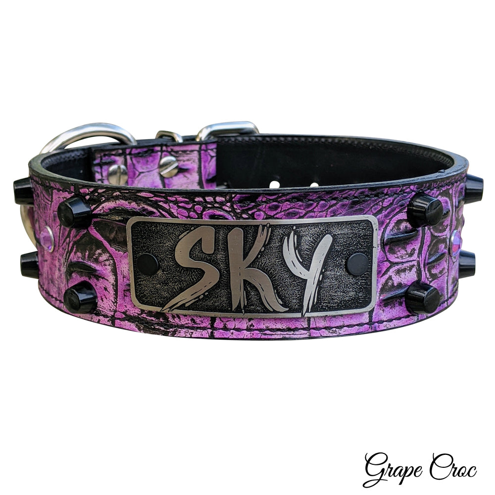 WN7 - 2" Personalized Leather Dog Collar with Bucket Studs & Gems