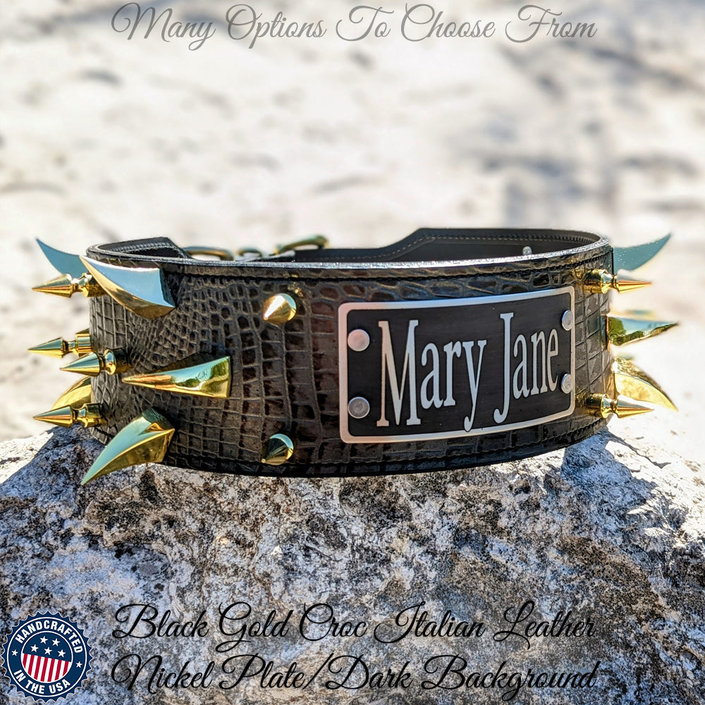 XN18 - Colar pontiagudo da placa de identificação de 3"