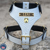NH12 - Personalized Bully Leather Harness