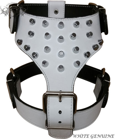 Y19 - Bucket Studded Leather Dog Harness