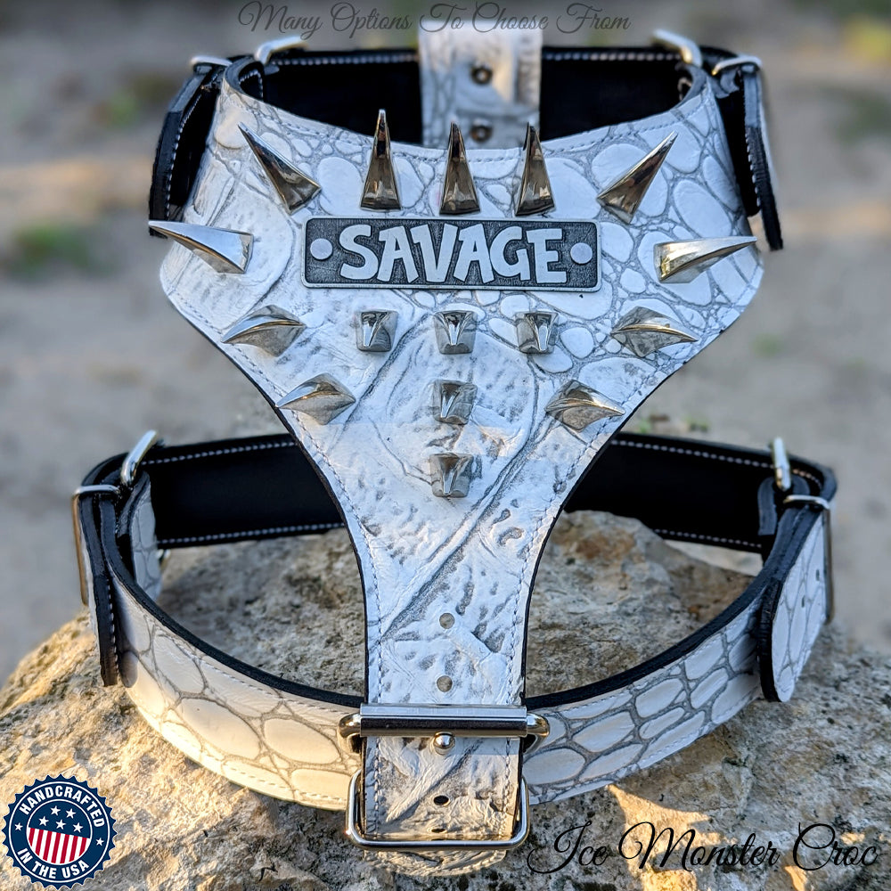 NH7 - Personalized Leather Dog Harness with Claw Spikes