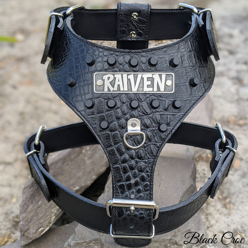 NH11 - Leather Dog Harness Personalized Name Plate and Bucket Studs