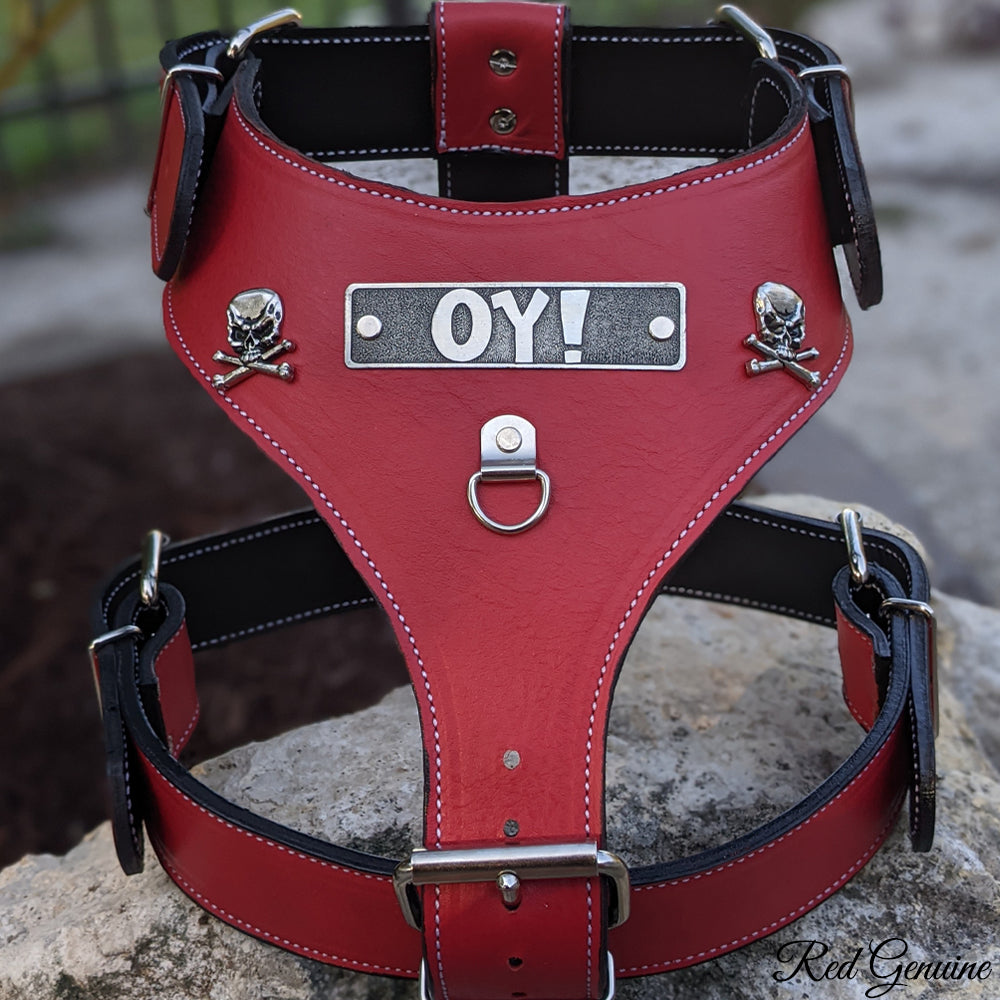 NH16 - Personalized Leather Dog Harness with Skull & Crossbones