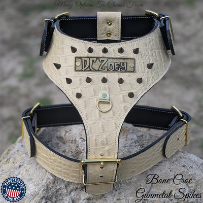 NH8 - Leather Dog Harness with Name Plate & Cone Spikes