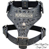 NH8 - Leather Dog Harness with Name Plate & Cone Spikes