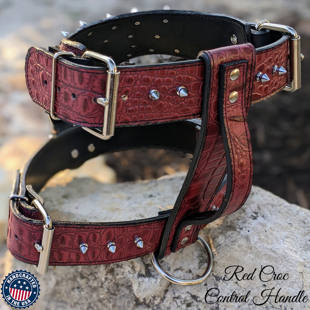 Y62 - Arnês de couro com pontas para cães