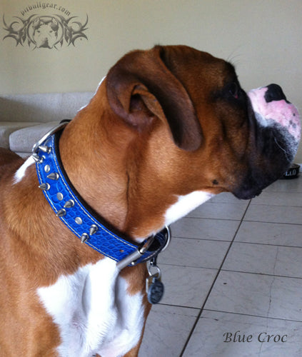 V29 - Collar para perros de cuero con remaches y púas de 1 1/2"