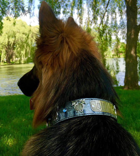 V30 - 1 1/2" Name Plate Dragons & Gems Leather Collar - 2