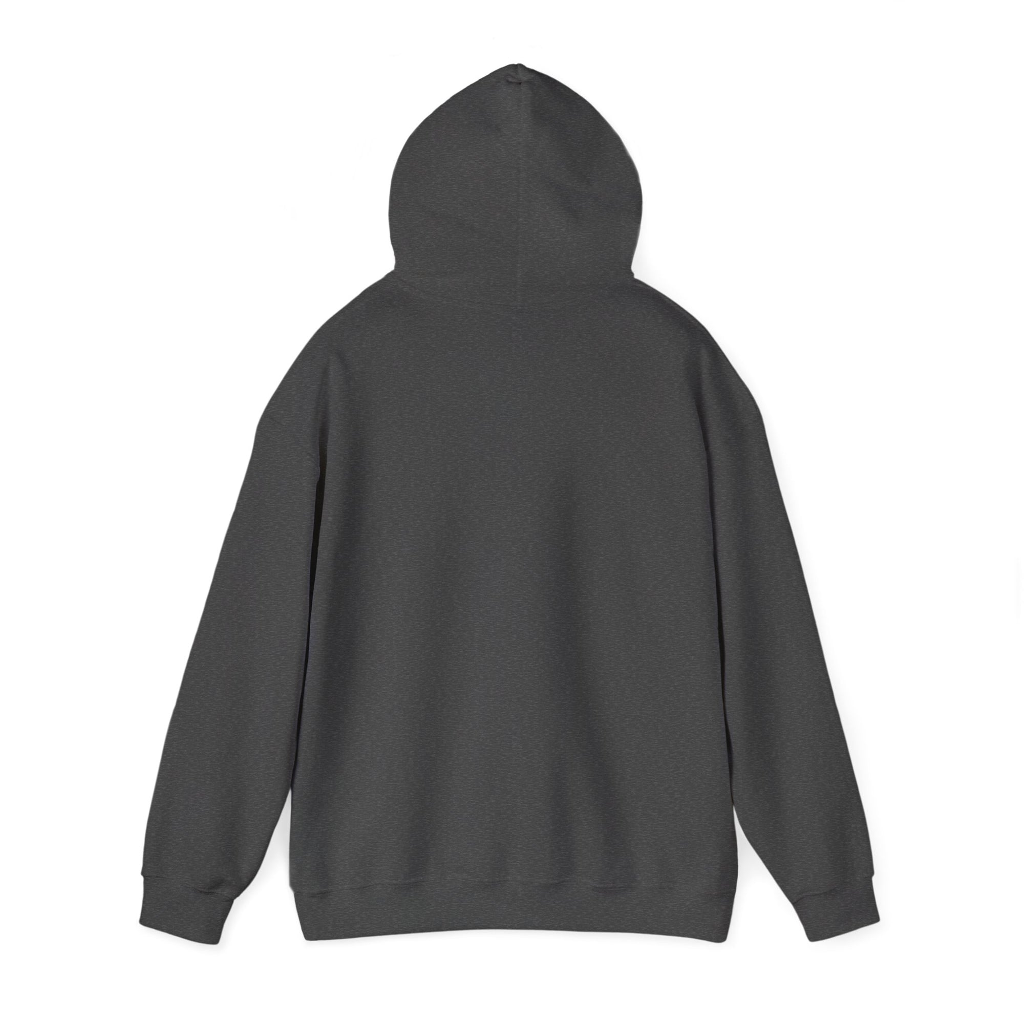Classic Bully Hooded Sweatshirt