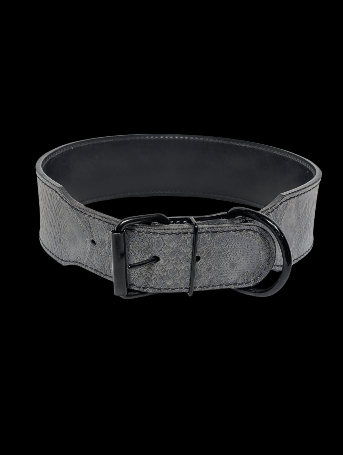 * 2.5" Wide Grey Python Full Grain Leather Dog Collar 25" - 28" Neck – Overstock Special