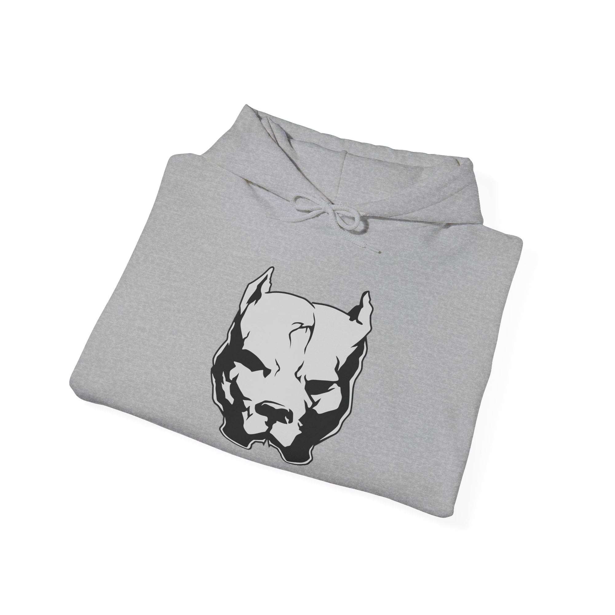 Classic Bully Hooded Sweatshirt
